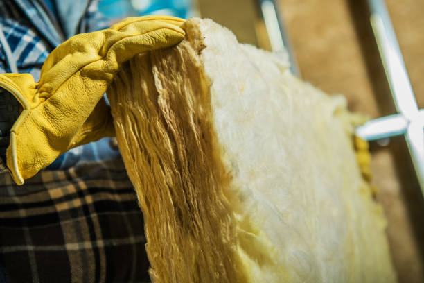 Best Insulation for Specific Applications in Interlachen, FL