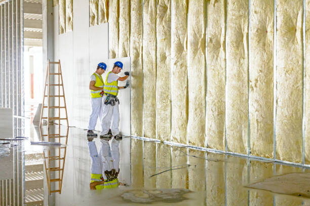 Best Types of Insulation in Interlachen, FL